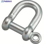 TRUSCO ネジシャックル スチール製 12mm  ▼275-7788 TSC-012  1個