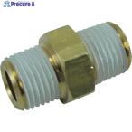 チヨダ ニップル R1/8・R1/8  ▼313-8232 N-1M-1M(GT-30)  1個