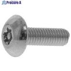 SUNCO GBステン TRXタンパープルーフ トラス小ネジ 6×10 (20本入)  ■▼353-4125 00-02-T103-0060X0100-07-20  1パック