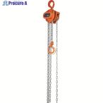 象印 C21型チェーンブロック1t・2.5m(C21-1)  ▼366-8045 C21-01025  1台