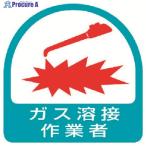 ユニット ステッカー ガス溶接作業者・2枚1シート・35X35  ▼371-7810 851-57  1組