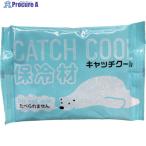 TRY 保冷剤 キャッチクール500g  ▼411-5091 HC-500  1個