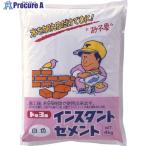 MATERAN インスタントセメント 白 4kg (1袋入)  ▼459-0167 NO5125  1袋