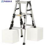 PiCa верхняя часть функционирование тип 4 ножек регулировка тип лестница двоякое применение стремянка старт pi-SCN type V553-5842 SCN-90B 1 шт. 