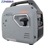 デイトナ インバーター発電機 DAYGENE1900e リモコン付き  ▼634-5752 55004  1台