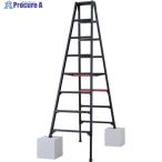  Hasegawa ножек часть эластичный тип специальный стремянка автомобиль ga man черный 8 уровень (10763) V686-9468 RYRB-24 1 шт. 