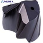GUHRING BT 800 パイロット穴加工用ドリルヘッド ホルダサイズ160用  ■▼736-2988 8162 16.200  1個