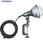 ハタヤ LED作業灯 20W広角タイプLEDランプ付 電線5M付  ▼779-7133 RGL-5W  1台