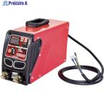 NICHIDO デジタルインバーター直流溶接機 BMウェルダー200 単相200V専用  ▼787-8273 BM2-200DA  1台