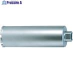 DIAMOND コアビット 120mm  ■▼805-3367 6C