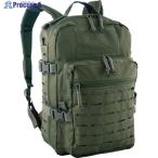 REDROCK Transporter Day Pack OD V835-4924 80151OD 1 шт 