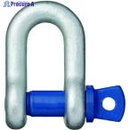 OH 鍛造シャックル 使用荷重1.5t  ▼836-1977 SC-15T  1個