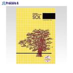 GENERALzoru* карбоновый бумага переносной #2300 красный 2300 Kei Thai красный V1478zenelaru( АО ) *a559