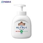 LION чистый чистый лекарство для мыло для рук насос 250yakyou мыло для рук насос V17540 лев ( АО ) *a559