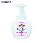 LION чистый чистый лекарство для пена мыло для рук насос yakyouawa мыло для рук насос V30320 лев ( АО ) *a559