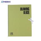 maruman F4 скетчбук оливковый серии S84 V30949 Maruman ( АО ) *a559