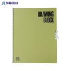 maruman F6 скетчбук оливковый серии S86 V30950 Maruman ( АО ) *a559