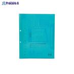  систематизация clear книжка A4-10P FLCB-A4-10CB V39571 Viewt n*a559