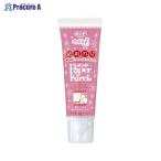 KONISHI ペーパーキレイ 30ml #04618 ▼72120 コニシ(株) ●a559