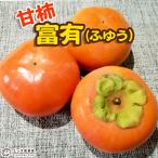 柿 （ 甘柿 ）『 富有柿 』フユウガ