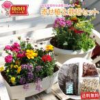  День матери. подарок [.... культивирование комплект ] бесплатная доставка 