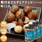 殻付きマカダミアナッツ 3本セット ボトルタイプ 360g/本 殻付きのまま強火ローストで実がしっかり蒸し焼きに カリッとしたドライな食感 殻割り器入りだから安心