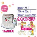 洗剤 漂白剤 除菌剤 酸素系多目的洗剤 かわゆい花子 10kg 業務用