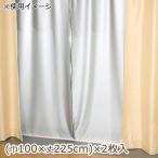 断熱カーテンライナー 遮光タイプ 巾100cm×丈225cm 2枚入 グレー(GY)
