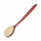 日本クリンテック Pureness ボディブ�