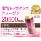 コラーゲン 美容ドリンク 美肌 コラーゲン20000プラス コンドロイチン ナイアシン 低分子ヒアルロン酸 エラスチン 砂糖不使用 おいしい 飲みやすい 天然水