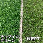  Golf специальный искусственный газон 2 вид ткань образец chip in зеленый & короткий газонная трава PT 2 вид отправка по почте 