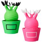 公式ストア】 VCD Pachypodium Gracilius Fluorescent Green & BLACK