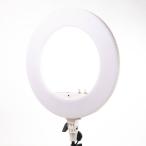 ビューティーライト マットホワイト　KD-BL48LED-W