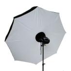  umbrella kasatore модель ( диаметр примерно 120cm) сердцевина диаметр 8mm U-60
