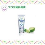  лев Dent Brilliant moreW brilliant moa W citrus мята 90g 1 шт. 