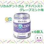 GCジーシー リカルデントガムボトル140g【グレープミント】6個セット