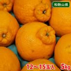 ショッピングデコポン 和歌山県産　デコポン　秀品　12〜15玉入　5kg
