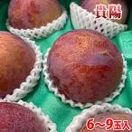  Nagano префектура производство слива .. превосходящий товар 6~9 шар ввод примерно 1.5kg ( коробка )