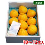 ショッピングデコポン 佐賀県産　デコポン　秀品　10〜12玉入（化粧箱）