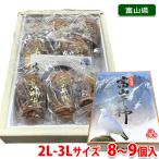 富山干し柿　秀品　2L〜3Lサイズ （8〜9個入り） 化粧箱 干柿 ほしがき ほし柿