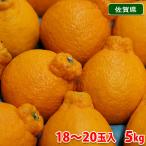 ショッピングデコポン 佐賀県産　デコポン　秀品　18〜20玉入　5kg（箱） 国産 みかん 柑橘
