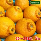ショッピングデコポン 和歌山県産　不知火（しらぬひ） 秀品　20〜24玉入　5kg