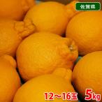 ショッピングデコポン 佐賀県産　しらぬひ（不知火） 秀品　12〜16玉入　5kg（箱）