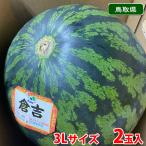 鳥取県産 倉吉すいか 鳥取西瓜 (抑制スイカ) 秀品 3Lサイズ 2玉入り (約8〜9kg×2玉) 箱 国産 すいか