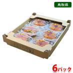 鳥取県産　西条柿　あんぽ　180g（3〜4個入パック）×6パック／箱