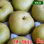 鳥取県産 梨 秋甘泉(あきかんせん) 秀品 14〜16玉入 5kg (箱)