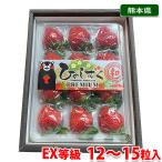  Kumamoto префектура производство клубника .. ...EX и т.п. класс 12~15 шар входить ( несессер ) подарок 