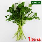  Wakayama префектура производство кресс превосходящий товар 1 пачка 10шт.@( примерно 10g)