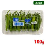  Kochi prefecture production house shishito green pepper (.. chili pepper ) approximately 100g( pack )