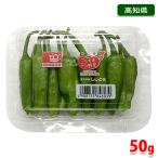  Kochi prefecture production house shishito green pepper (.. chili pepper ) Mini pack approximately 50g( pack )